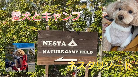 nesta nature camp field